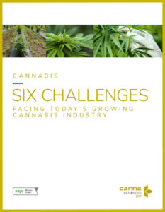 6 Challenges Facing Today's Growing Cannabis Industry