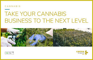 Manage Your Cannabis Venture to the Next Level
