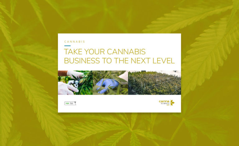 Manage Your Cannabis Venture to the Next Level