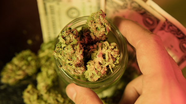 cannabis erp benefits