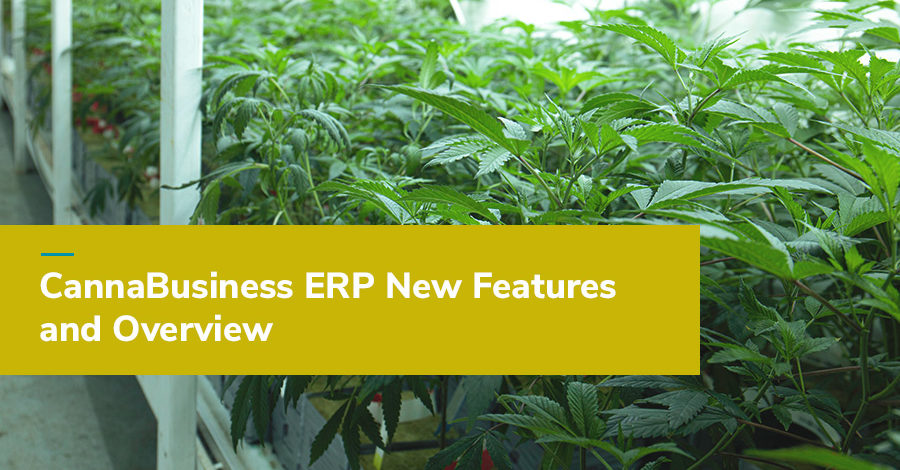 Webcast: CannaBusiness ERP New Features and Overview