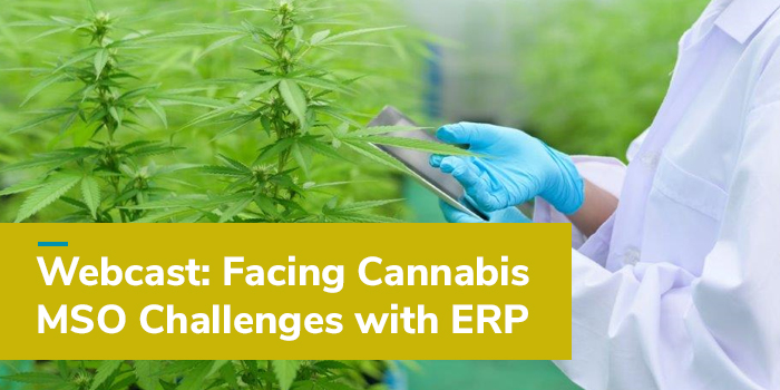 Facing Cannabis MSO Challenges with ERP