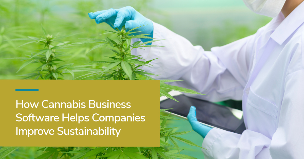 How-Cannabis-Business-Software-Helps-Companies-Improve-Sustainability