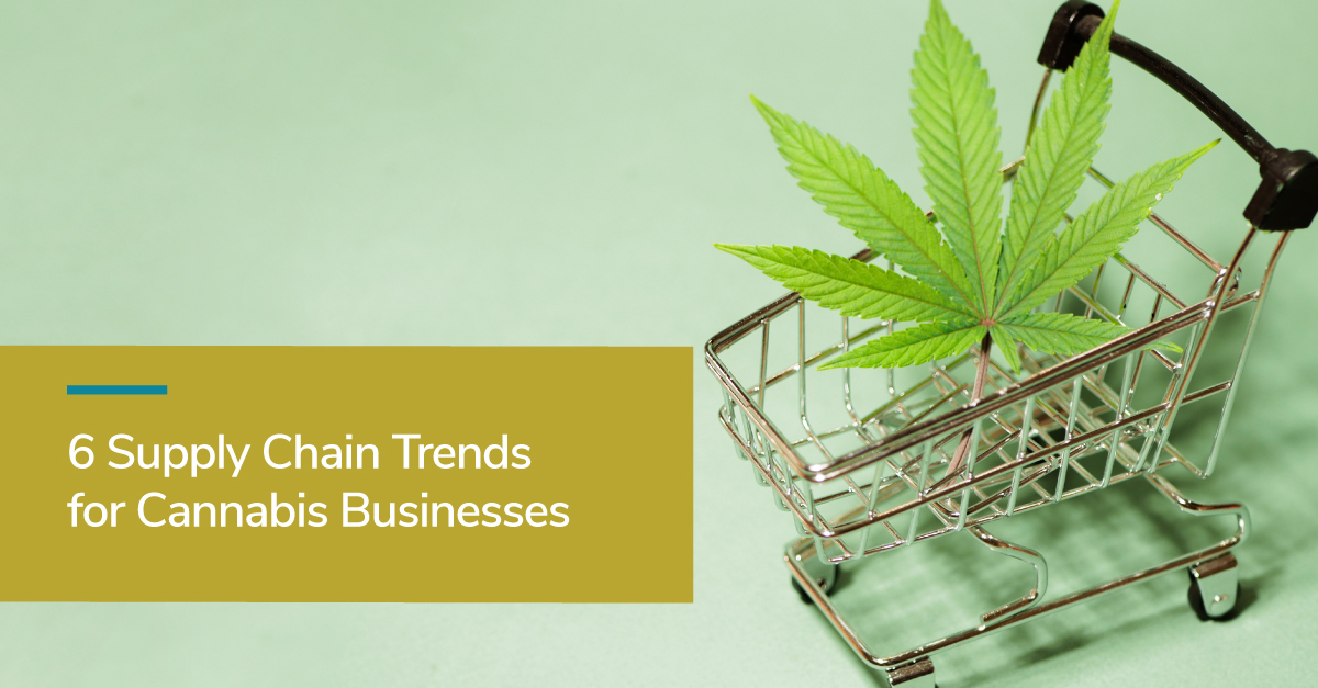 Image of a grocery cart with a cannabis leaf in it. Banner across the image that displays the blog title which is: 6 Supply Chain Trends for Cannabis Businesses