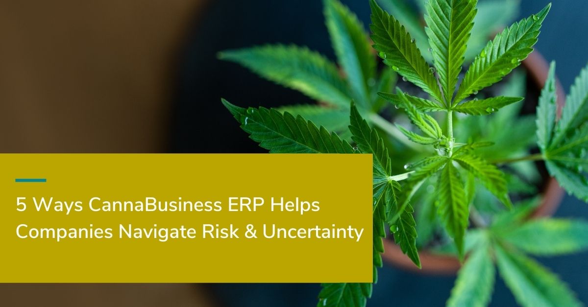5-Ways-CannaBusiness-ERP-Helps-Companies-Navigate-Risk-&-Uncertainty