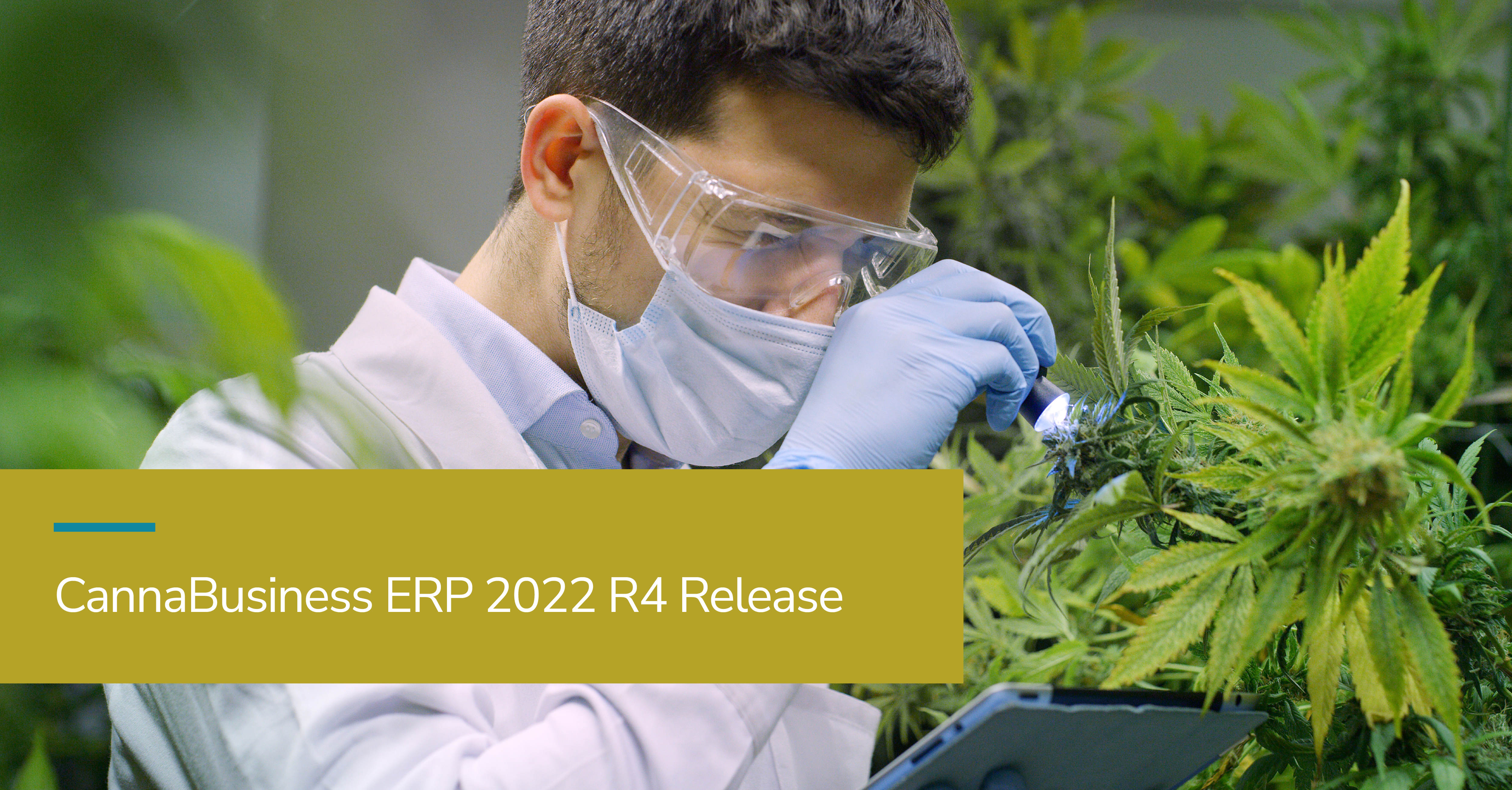 CannaBusiness R4 Release 2022