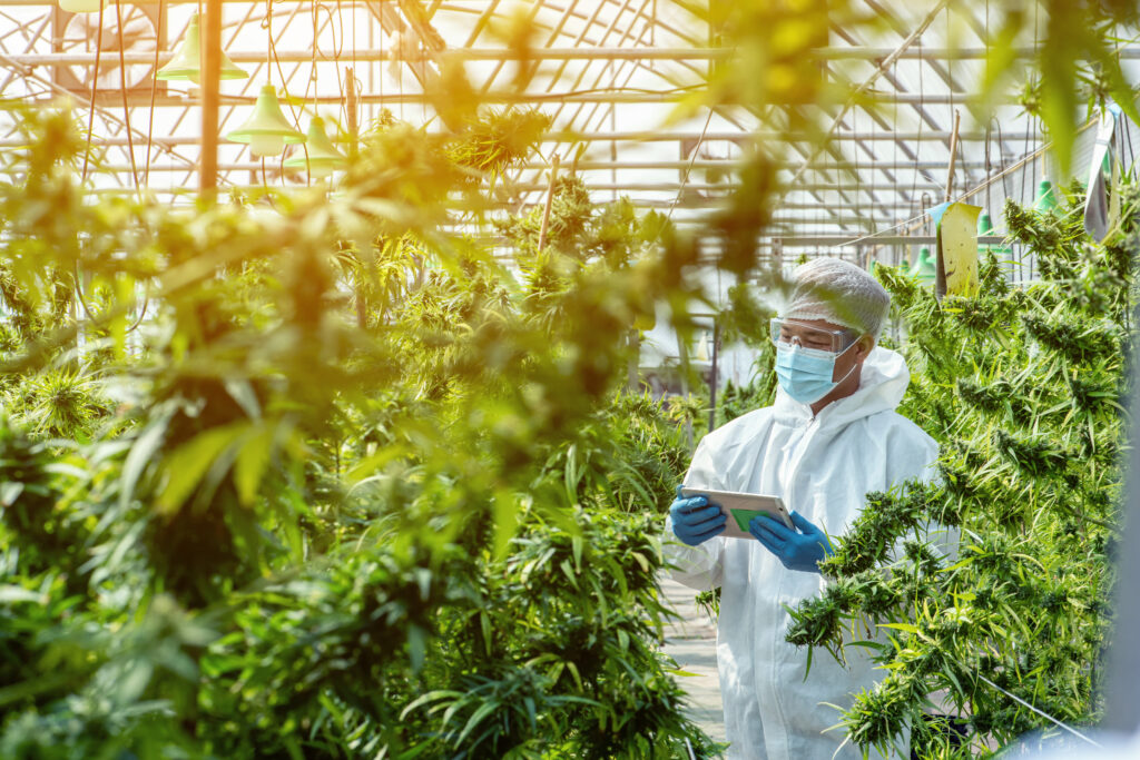 Why Choosing a Reliable ERP Solution is Critical in Cannabis