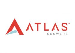 Atlas Growers